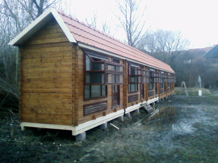 Photo_0502