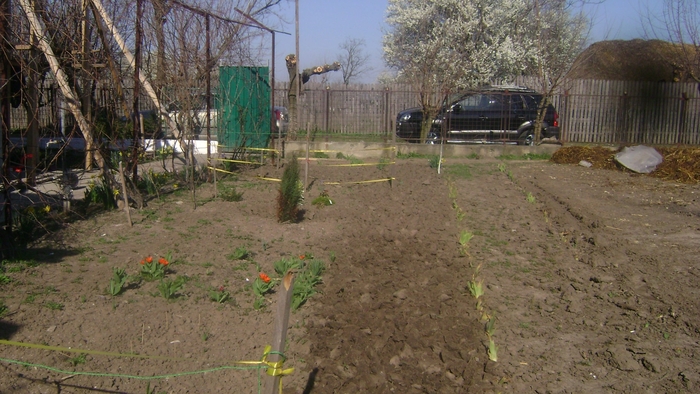 ASA ARATA CAND AM INCEPUT - GRADINA DE FLORI 2009