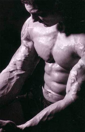 Batista-batista-2040079-400-622