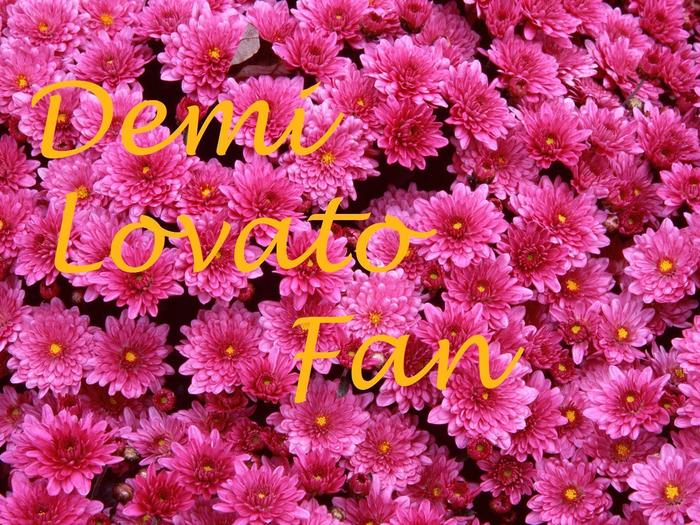 demi-lovato-fan-demi-lovato-10067160-1600-1200 - Album Pentru Toti Fanii Demi Lovato