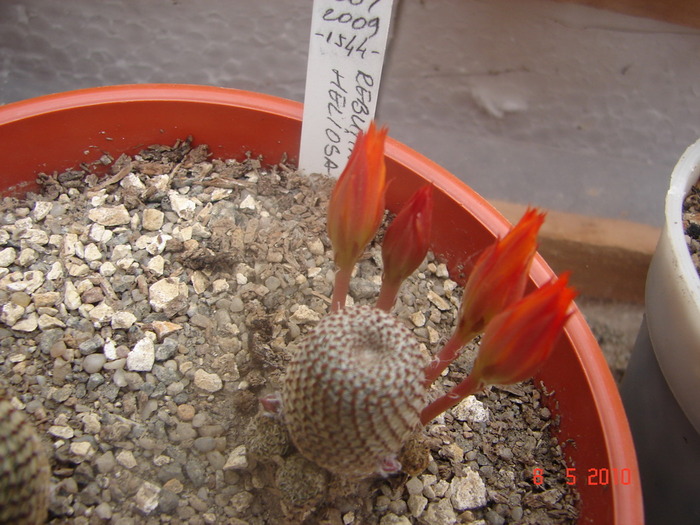 DSC08005