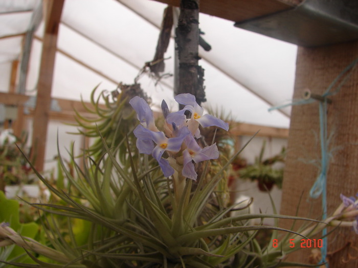DSC08016