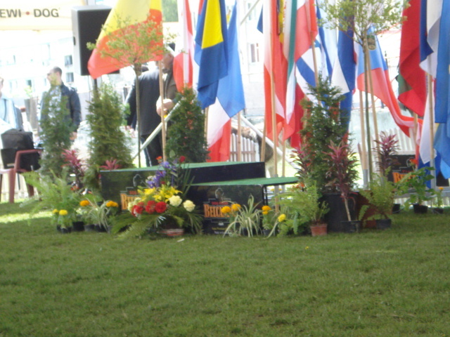 DSC04317 - expozitie de caini satu mare 2010