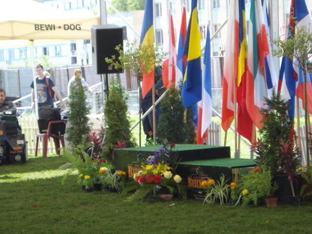 DSC04319 - expozitie de caini satu mare 2010