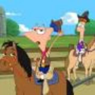 Phineas_and_Ferb_1248380632_2_2007 - phineas and ferb