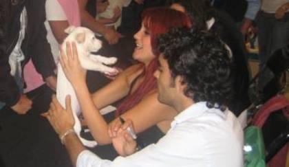 veranodeamorfirmadeauto