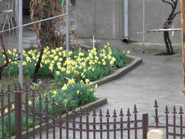DSCN5128