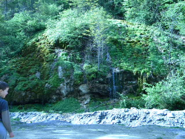 DSCN5213