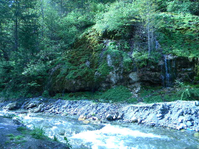 DSCN5221