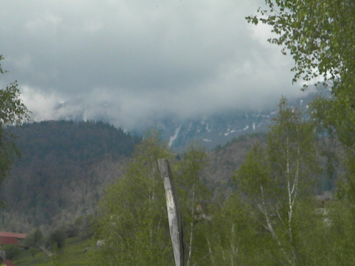 DSCN5270