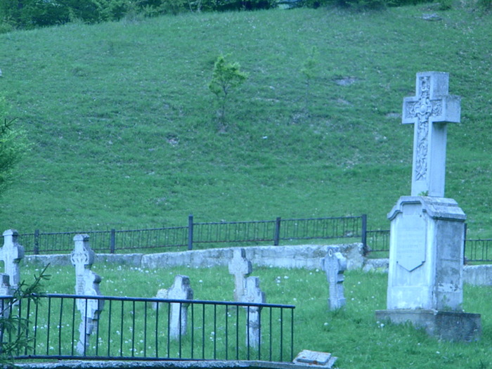 DSCN5530