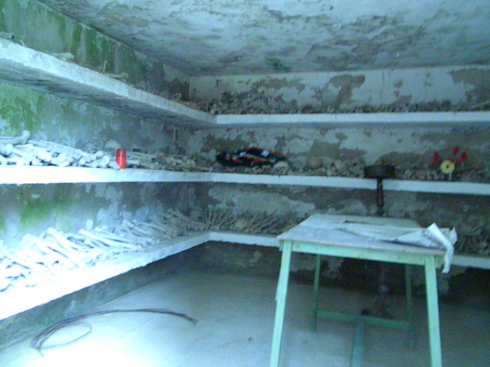 DSCN5532
