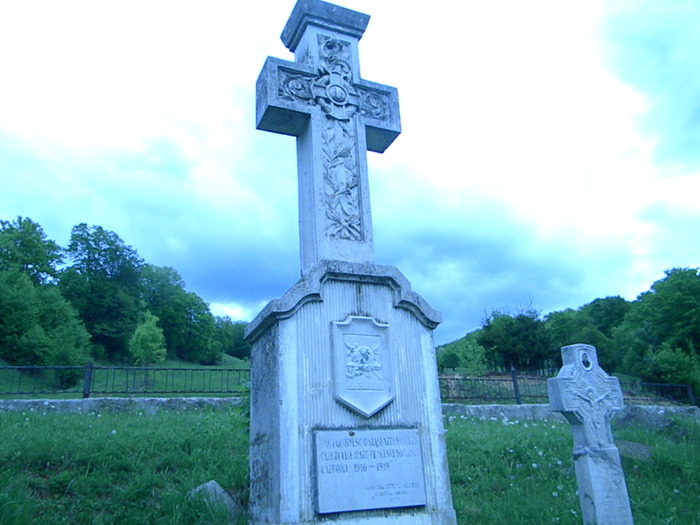 DSCN5537