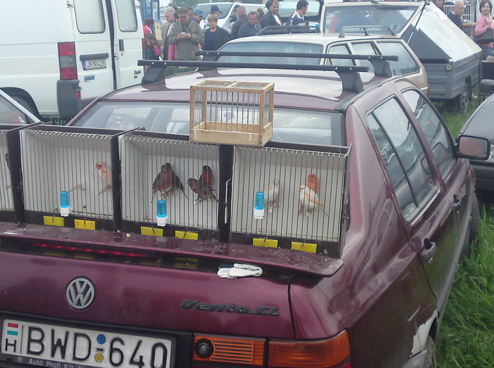 101155 - MONOR Mai 2010