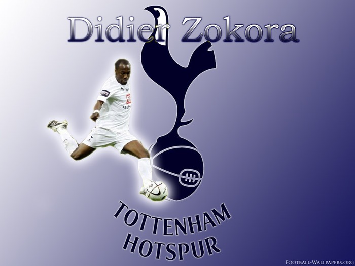 didierzokora - Wallpapers