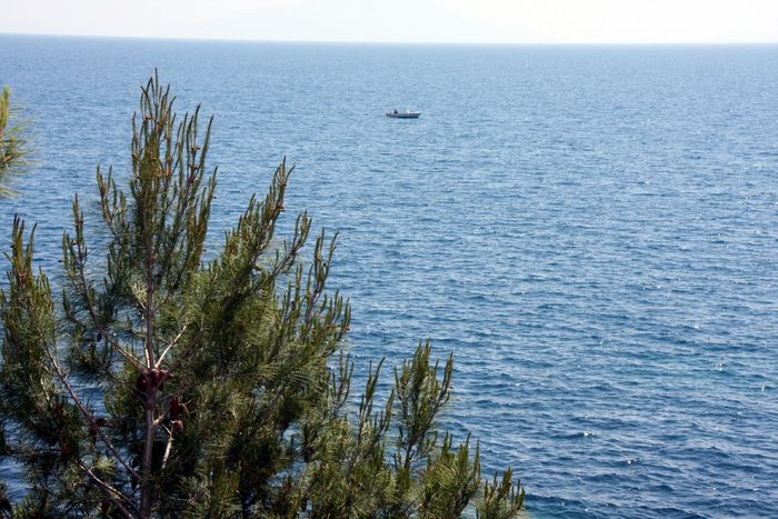 Grecia 2010 [261] - Grecia - Corfu