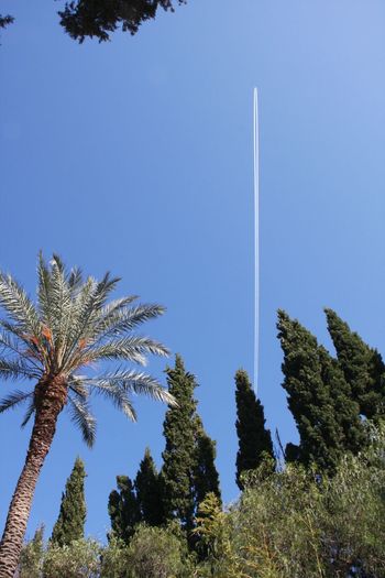 Grecia 2010 [308] - Grecia - Corfu