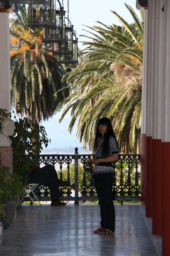 Grecia 2010 [382] - Grecia - Corfu