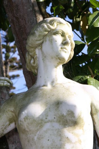 Grecia 2010 [425] - Grecia - Corfu