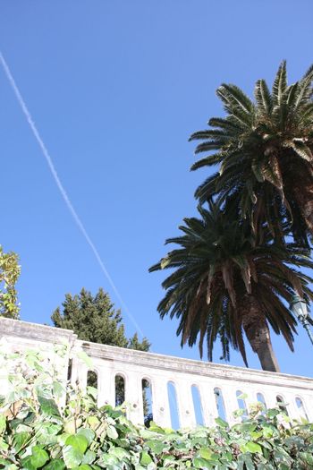 Grecia 2010 [426] - Grecia - Corfu