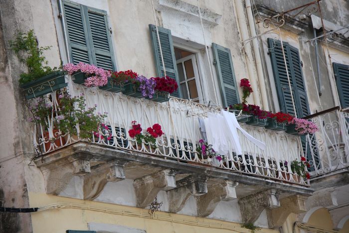 Grecia 2010 [439] - Grecia - Corfu