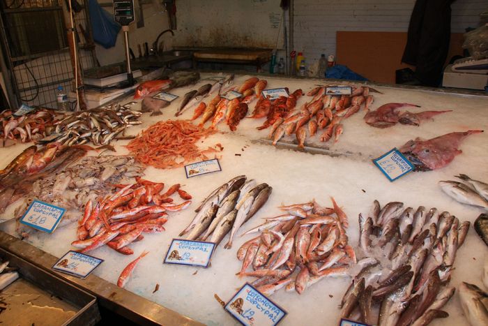 Grecia 2010 [455] - Grecia - Corfu