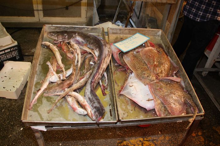 Grecia 2010 [456] - Grecia - Corfu