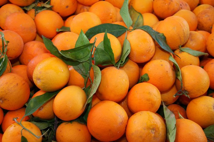 Grecia 2010 [461] - Grecia - Corfu