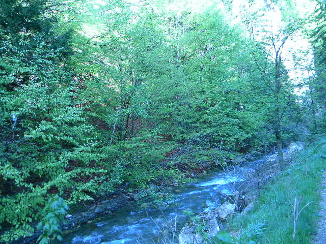 DSCN5191 - BANCHET 2010