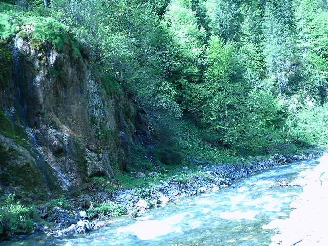 DSCN5211 - BANCHET 2010