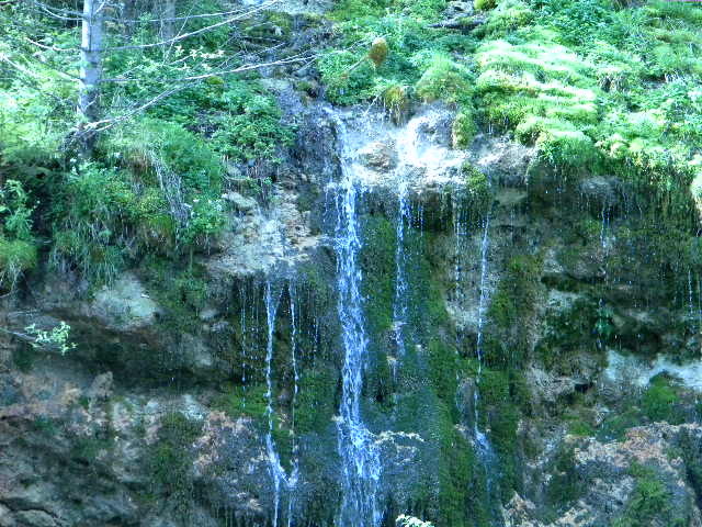 DSCN5215 - BANCHET 2010