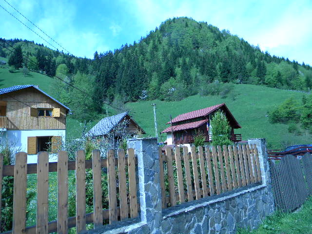 DSCN5231