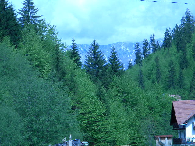 DSCN5233 - BANCHET 2010