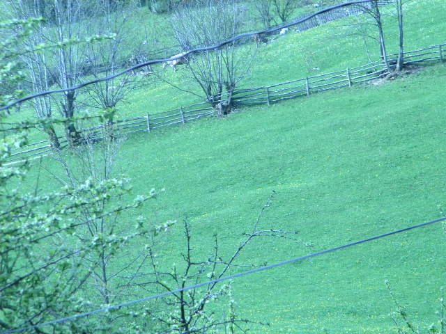 DSCN5237 - BANCHET 2010