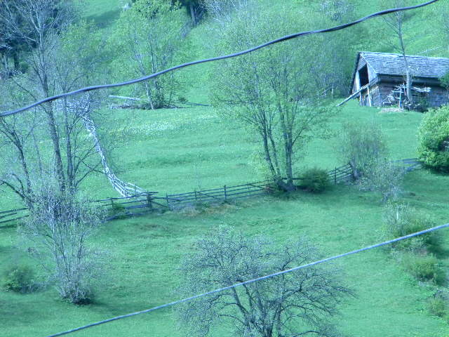 DSCN5238 - BANCHET 2010