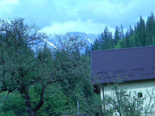 DSCN5240 - BANCHET 2010