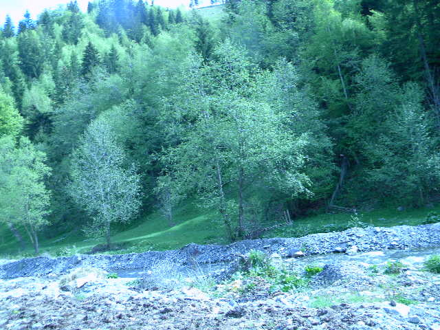 DSCN5243 - BANCHET 2010