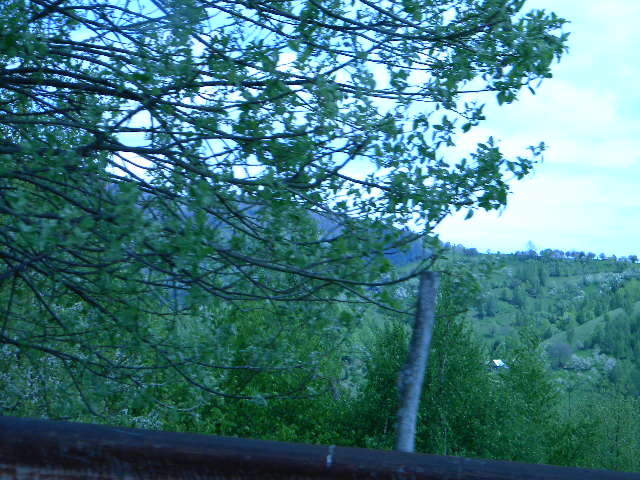 DSCN5264 - BANCHET 2010