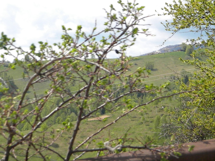 DSCN5268 - BANCHET 2010