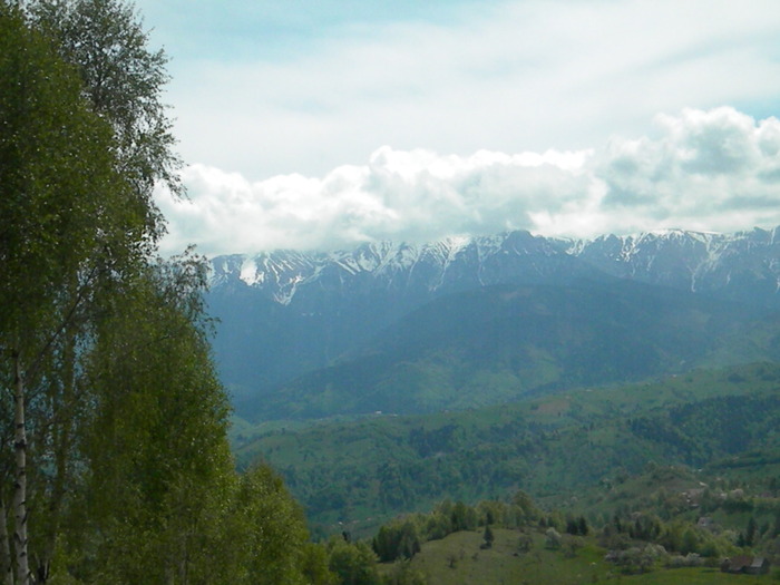 DSCN5271 - BANCHET 2010