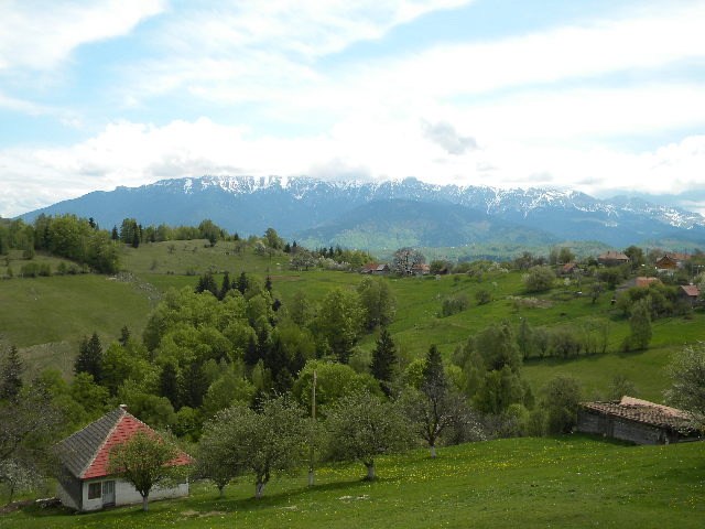 DSCN5317 - BANCHET 2010