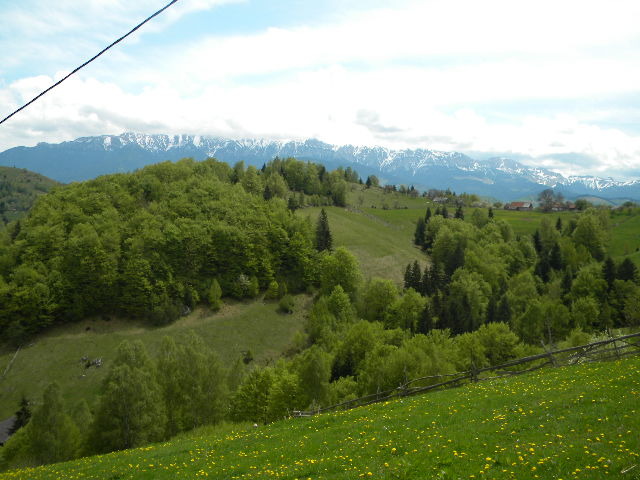 DSCN5322 - BANCHET 2010