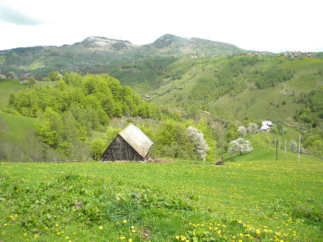 DSCN5324 - BANCHET 2010
