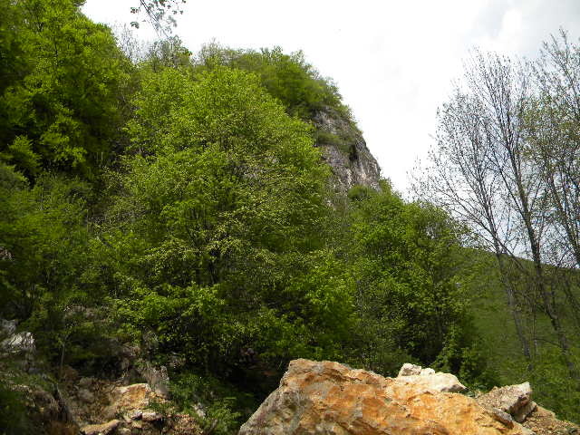 DSCN5329 - BANCHET 2010