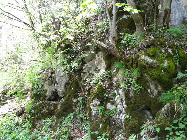 DSCN5332 - BANCHET 2010