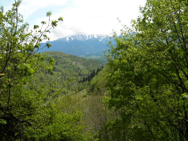 DSCN5345 - BANCHET 2010