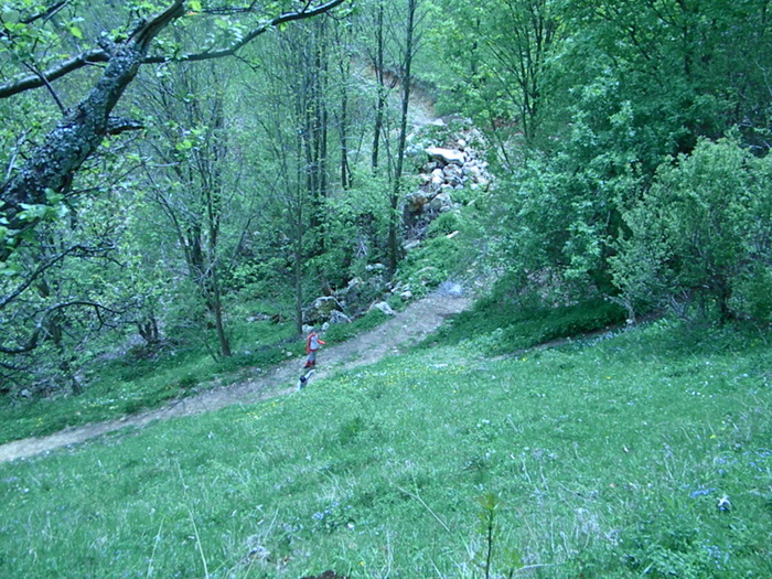 DSCN5357