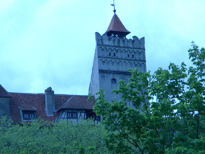 DSCN5371