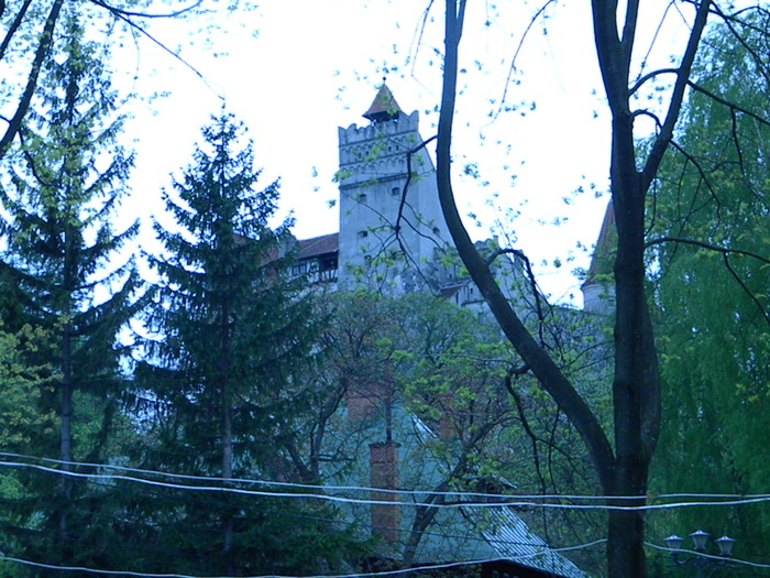 DSCN5379