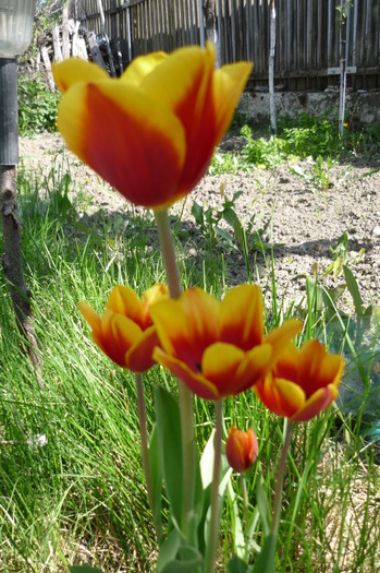 P1040928